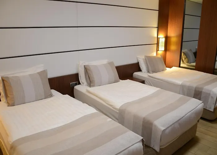 Hotel Safa Royal Museum